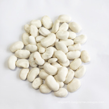 Wholesale Chinese 2020 crop origin in Yunnan Large white kidney beans